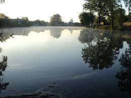Боярышник (crataegus), народные названия барыня, боярка, глодь. Ozero Boyarka Ranok Water Outdoor River