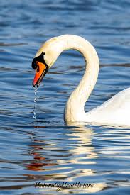 Vintage barn and root cellar found in upstate New York