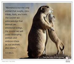Ad Williams Animal Rights Animal Welfare Animals Animal Quotes Animals Images
