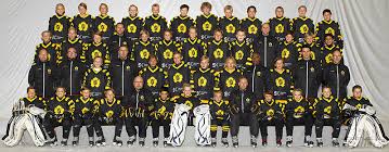 Här samlar vi alla artiklar om skellefteå aik. Lag Skelleftea Aik Laitis Cup 2015 Cuponline