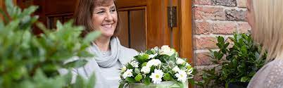 Check spelling or type a new query. Send Flowers To Canada From Uk Via Direct2florist