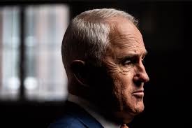 Gina Rinehart's son John Hancock withdraws bid to head family trust