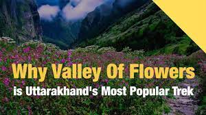 Maybe you would like to learn more about one of these? Valley Of Flowers And Hemkund Sahib Trek Indiahikes