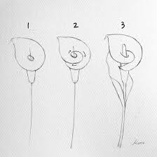 Cette Illustratrice Sud Coreenne Vous Explique Etape Par Etape Comment Dessiner La Nature En 2020 Croquis De Fleurs Dessin Fleur Tutoriel De Dessin