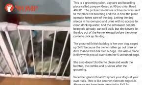 He may have been involved in previous allegations in his previous job. No Evidence Of Mistreatment Of Dogs After Accusations Against Groomer Pawpaw Group Avs