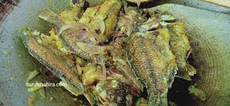 Sekembali dari surau, aween meminta saya memasak nasi lagi kerana ingin menghabiskan ikan yang sebelumnya saya minta disimpankan sedikit untuk juita. Talapia Hitam Goreng Berlada Untuk Makan Tengahari Nurulshahira Com