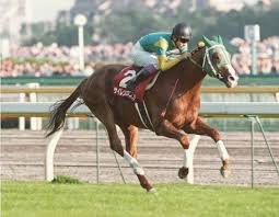 画像に含まれている可能性があるもの 1人以上 馬 屋外 サイレンススズカ 馬 競走馬