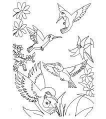 It inspired me to turn some of my own animal coloring pages into adult coloring pages. Top 10 Hummingbird Coloring Pages For Your Toddler