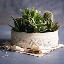 Its shallow depth and drainage hole make it the perfect choice for succulent gardening. Freefolding Ceramic Studio On Instagram Big Open Wide Bowl Great Home For All Greens As Well Fre White Ceramic Planter Ceramic Planters Succulent Planter