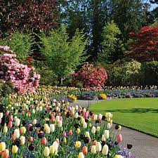 So Many Tulips Public Garden Botanical Gardens Near Me Butchart Gardens