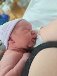 Trust me. You don't want to mess with this guy.