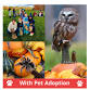 Sanctuary Spooktacular at CVH Foundation event image