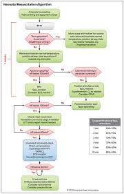 Acls bradycardia algorithm ventricular tachycardia bradycardia acls algorithm ventricular © 2020 147beachroad 1.486419916153 seconds to complete. Algorithms American Heart Association Cpr First Aid