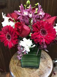 We did not find results for: Modesto Exotic Flowers Home Facebook