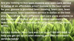Vern is the founder of d'shauwn lawn service, a local lawn care company in dallas, tx. Buy Affordable Lawn Mowing And Lawn Care Services For 2021 In Dallas Youtube
