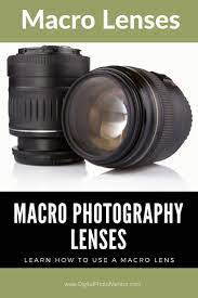 Macro Photography How To Use A Macro Lens Macro Lens Photography Photography Lenses Macro Lens