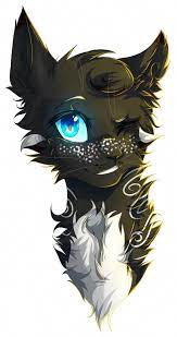 Rainstarshe Cat30 Moons8 9 Livesno Mate Kits Or Crush But Wants Onebrave Quiet Reserved Thoug Warrior Cat Drawings Warrior Cats Fan Art Warrior Cats Books