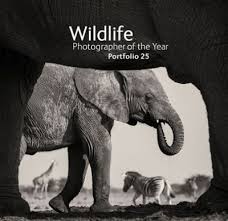 Here, you can check out some of the best photography coffee table books on the. Wildlife Photographer Of The Year Portfolio 25 By Natural History Museum Waterstones
