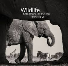 Be it a professional photographer or a keen beginner. Wildlife Photographer Of The Year Portfolio 25 By Natural History Museum Waterstones