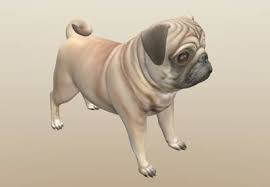 3d Model Pug Dog Pug Dog Dogs Pugs