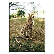 Hansa Cheetah Life Size Sitting 39 Large Stuffed Animals Plush Animals Life Size