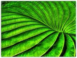 Pin On Nature S Curves