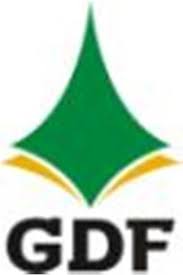 GOVERNO DO DISTRITO FEDERAL SECRETARIA DE ESTADO DE ADMINISTRAÇÃO PÚBLICA  DO DISTRITO FEDERAL EDITAL No 4