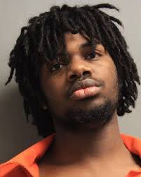 Alexandria man accused in rapes to undergo sanity examination