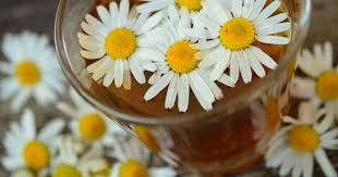 When you place your order online or at your favourite starbucks store. Bolehkah Ibu Hamil Minum Teh Chamomile Popmama Com
