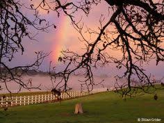 Southern Oregon Rogue Valley Sunrise With Rainbow Upper Tablerock Suttonranches Com Photo Jillian Cr Southern Oregon Places To Travel Nature Inspiration