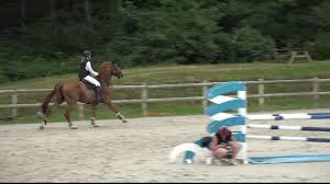 GRANDPRIX TV - BARBASTE NATIONAL JUIN 2020 WEEK2 - CL09 Preparatoire -  1,00 m - ERMES DE LA ROQUE - CHLOE ROGER