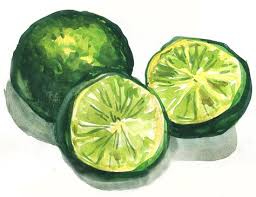 You can paint a bunch of grapes, apple, mango, watermelon, litchi, and other fruits. Lime Citrus Fruit Watercolor Painting Clipart Image