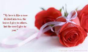 Pin By Stacy Martin On All About Love Rose Flower Wallpaper Red Rose Pictures Rose Flower