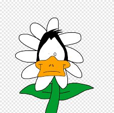 It is a very clean transparent background image and its resolution is 900x847 , please mark the image source when quoting it. Daffy Duck Drawing Looney Tunes Cartoon Duck Animals Leaf Png Pngegg