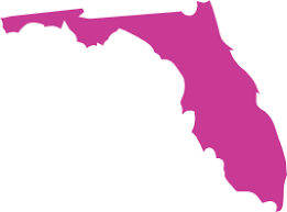 In the end, the coverage you choose will depend on what you're looking to insure and your budget. Florida Car Insurance Guide 2021
