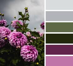 Welche Farbe Passt Zu Khaki So Kombinieren Sie Die Trendfarbe Richtig Design Seeds Color Collage Paint Color Palettes