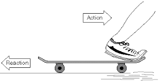 In Newton S 3rd Law Of Motion It States For Every Action That Occurs There Is Also An Equal And Opposite Force And Motion Newtons Third Law 8th Grade Science