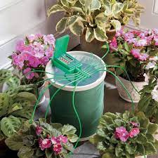 Improvements Automatic Plant Watering System With Coil Basket Hsn Plant Watering System Garden Watering System Plants