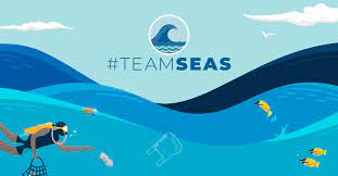 8758 likes · 1086 talking about this. Teamseas