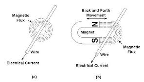 Andre Marie Ampere Andre Marie Ampere Expert Witness Ampere