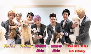 Exo.pet's extreme video game high score challenge and discord server. Overdosed Exo React To You Getting A New Puppy