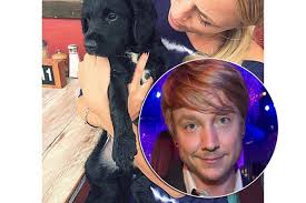 Official facebook page of sunrise avenue singer and the voice of germany coach samu haber. Samu Haber Vivianne Raudsepp Susser Familienzuwachs Gala De