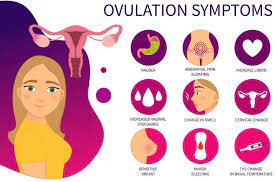 Macam yang aku bagitau kat artikel atas, aku tau cycle period selepas buat treatment kat klinik dr. Tanda Ovulasi Sedang Terjadi Wanita Akan Sakit Perut Normal Ke