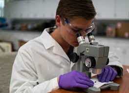 Materials Science & Engineering Undergrad Program