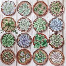 Inside there are imagined gardens, blooms real and fanciful as well as lots of new inkscapes to explore and colour. Succulents First Page Done In World Of Flowers Worldofflowers Adultcolori Joanna Basford Coloring Johanna Basford Coloring Book Johanna Basford Coloring