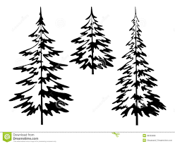 Download Pine Tree Outline Free Pine Tree Outline Png Transparent Images 50811 Pngio