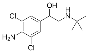 This aspect makes the drug popular among women as men because it does not have the androgenic side effects that are a feature of certain drugs, such as facial hair development, deepening of the voice, and thickening of the skin. Clenbuterol Wikipedia