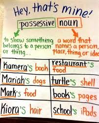 Singular Possessives Anchor Chart Reading Writing Noun