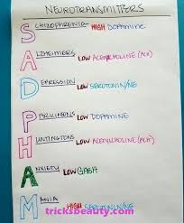 Medical Doctors Worldwide On Instagram Neurotransmitters Are Endogenous Chemicals That Enable Neurotransmission It Is A Type Of Chemical Messenger Nursing School Survival Nursing School Notes Nursing Students