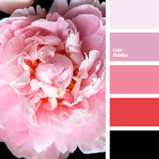 Get inspired by these beautiful pink color schemes and make something cool! Black And Red Color Palette Ideas